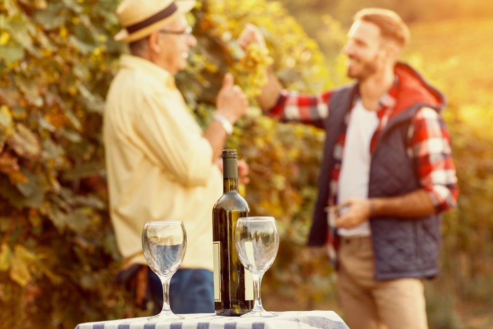 Two men converse in a vineyard, with a bottle of wine and glasses on a table.